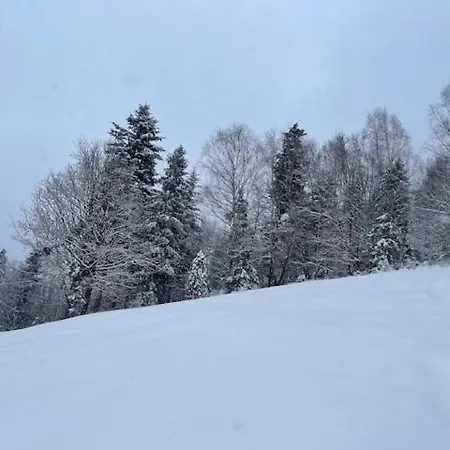 Dom Na Wzgorzu -