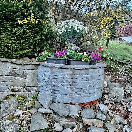 Willa Dom Na Wzgórzu - *